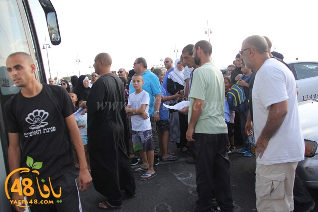 7oajaj yaffa j384 (45).JPG